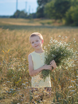 Boy modestly smiling with a bouquet of daisies on a field, a gift for his mother, in nature, golden hour, countryside.