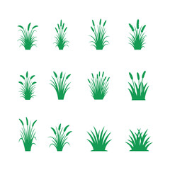 Fototapeta premium Green Grass Plants Illustrations Set