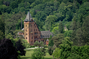 Fototapeta premium old castle in nature