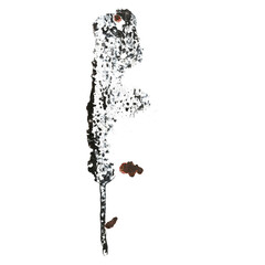 Rust Texture with Transparent Background &ndash; High Resolution Isolated Corrosion Surface

