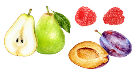 Watercolor Realistic Pear, Plum, Raspberry and Kiwi Illustration, Colorful Fruit Composition