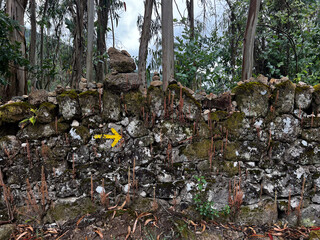 yellow arrow pointing into the direction of the pilgrimiage on a wall covered with sorrow stones in portugal on the camino de Santiago, the road to santiago, christian pilgrimage