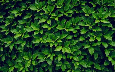 Lush Green Foliage Pattern with Vibrant Leaves in Natural Harmony