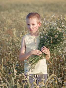 Boy modestly smiling with a bouquet of daisies on a field, a gift for his mother, in nature, golden hour, countryside.