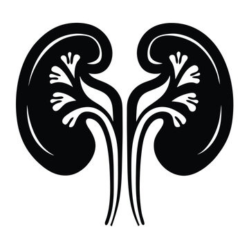 black kidneys anatomy graphic clip art preview