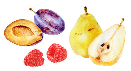 Watercolor Realistic Pear, Plum and Raspberry Illustration, Juicy Fruit Trio