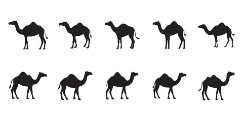 Black Silhouette Camel Graphics Collection Including Dromedary and Bactrian Camel Variants for Design Use