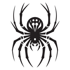 Spider Vector Illustration
