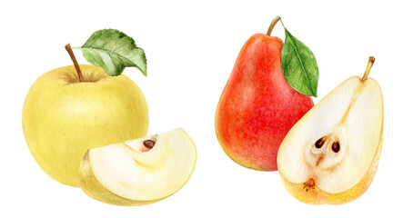 Watercolor Realistic Apple and Pear Illustration, Fresh Fruit Set