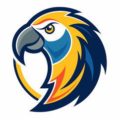 blue and yellow macaw