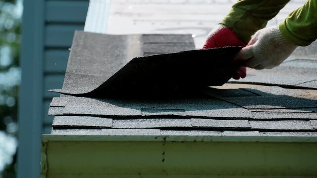 Roofers putting new roof shingles in right order on the house roof. Element of roof renovation