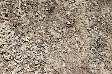 A close view of the dirt ground surface.