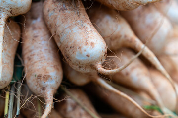 radishes on sale at the grocery