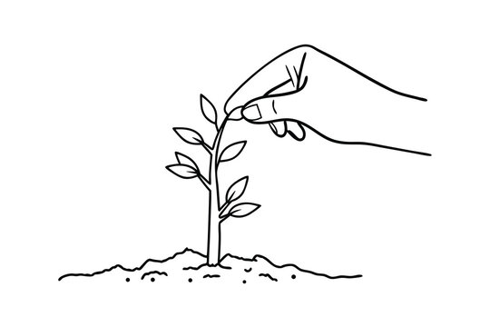 hand planting sprout black and white clip art preview