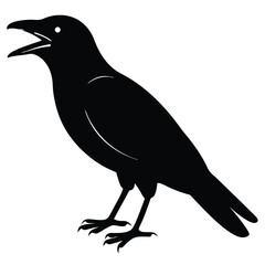 Fototapeta premium Silhouette of Calling Crow A Black Bird Illustration with Open Beak Detail