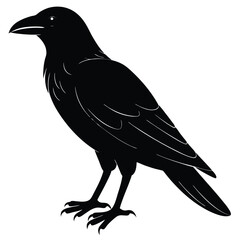 Obraz premium Striking Raven Silhouette Detailed Art of a Bold, Black Bird Illustration