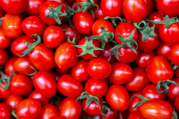 cherry tomatoes on sale at the market