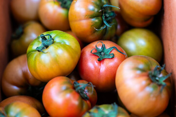 tomatoes on sale at the market
