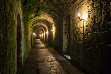 Mysterious Stone Corridor with Soft Lighting and Lush Green Moss in an Underground Passageway for Adventure and Travel Photography