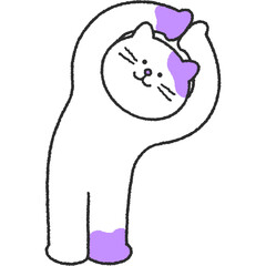 요가하는 고양이 캐릭터