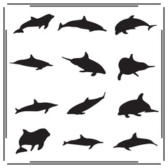 Diverse dolphin silhouette collection – 12 black marine dolphin shapes in varied swimming poses – aquatic animal vector set on white background

