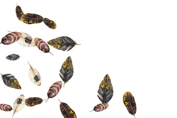 Obraz premium Adobe Illustrator Artwork