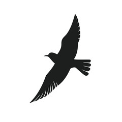 Elegant black silhouette of a bird in flight