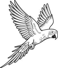 Fototapeta premium A detailed black and white illustration of a flying parrot depicting its wings and head perfectly