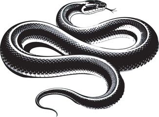 Obraz premium Illustrative black and white vector illustration of a coiled snake with detailed scales and a forked tongue