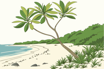 palm tree on the beach