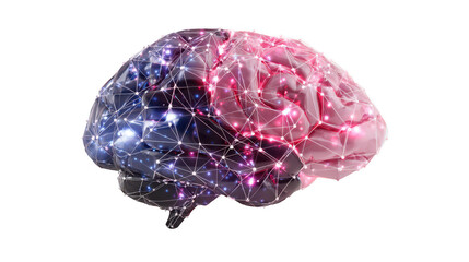 Human brain network model isolated on transparent background