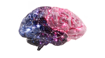 Human brain network model isolated on transparent background