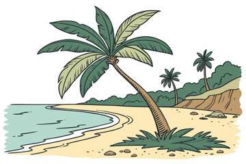 palm tree on the beach