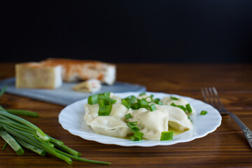 Delicious Ukrainian dumplings with steam and green onions