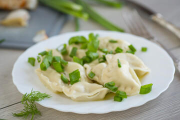 Hot dumplings in a plate with onions on a light wooden table