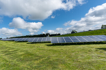 Großflächig aufgestellte Photovoltaik-Module in grüner Wiesenlandschaft bei strahlendem Sonnenschein.