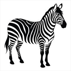 Obraz premium zebra animal silhouette vector