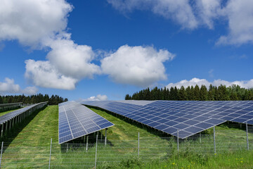 Großflächig aufgestellte Photovoltaik-Module in grüner Wiesenlandschaft bei strahlendem Sonnenschein.