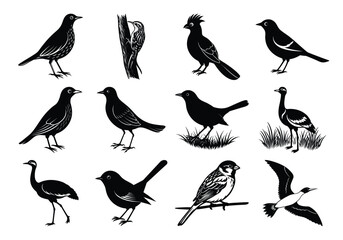 collection of birds. eagle silhouette, flying bird silhouette. Flock of flying birds