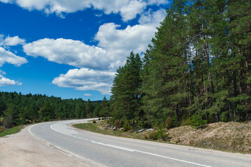 Country road on the  pine forest with mountain nature landscape and the blue sky. Road in the...