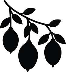hanging lemons on vine black silhouette on white background