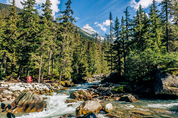 Glacier National Park, Canadian Rockies. British Columbia, Canada