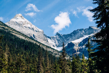 Glacier National Park, Canadian Rockies. British Columbia, Canada