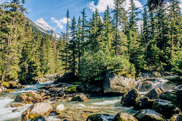 Glacier National Park, Canadian Rockies. British Columbia, Canada