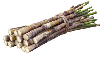 Harvested sugarcane tied bundle for on transparent background
