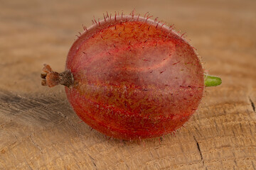 ripe gooseberry