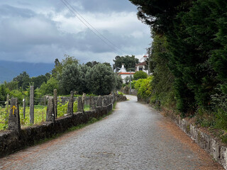 road along the vineyard