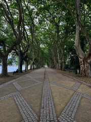 Alameda de Ponte de Lima on the street of Ponte de Lima in portugal on the camino de Santiago, the road to santiago, christian pilgrimage in Spain and portugal