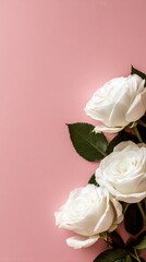 Fototapeta premium White Roses Arranged Elegantly Against a Soft Pink Backdrop in a Natural Light Setting.