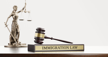Immigration Law: Judge's Gavel as a symbol of legal system, Themis and wooden stand with text word